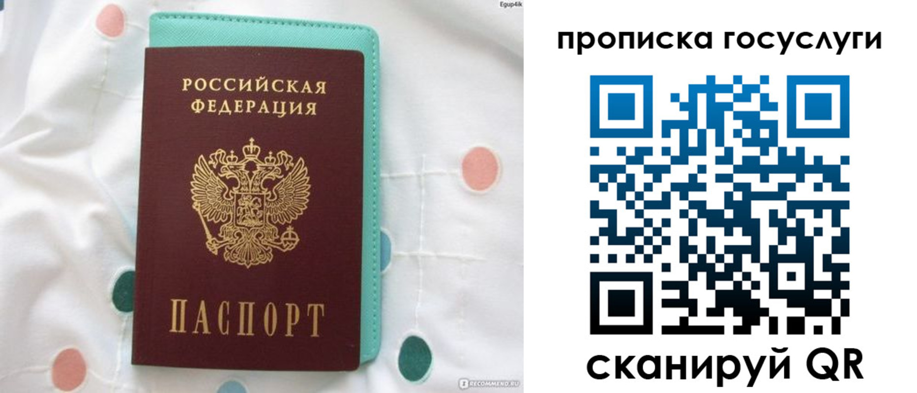 прописка поиск в Чистополье